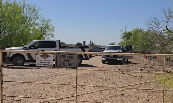 Investigan hallazgo de ganado muerto en La Joya